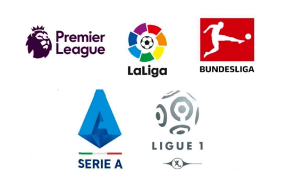 引了众多来 引了众多来